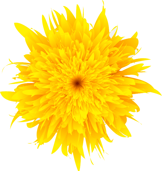 Dandelion Clipart Large - Beautiful Drawing Of Sun (564x593), Png Download