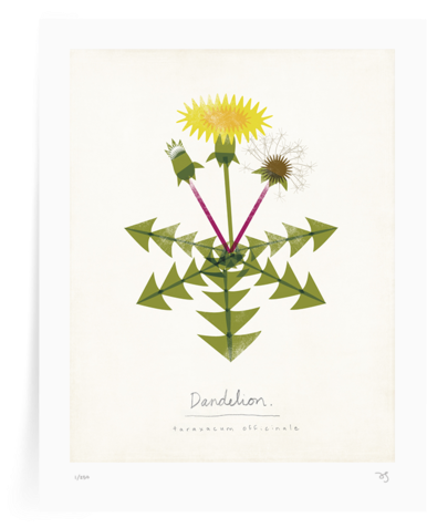 Prints - Botanical Greeting Cards (500x500), Png Download