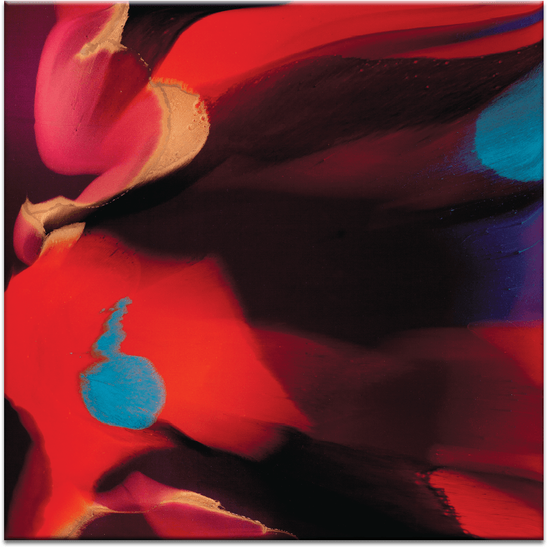 The Bold & The Beautiful - Bold & The Beautiful Wall Art Framing / Size: Framed (900x900), Png Download