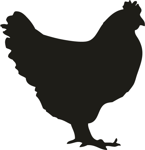 Chicken Silhouette Png - Chicken Decal (696x696), Png Download