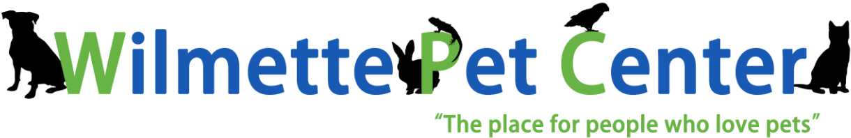 Duetto (1245x280), Png Download