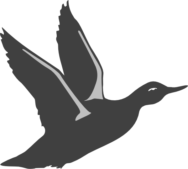 Bird Taking Off Clipart (600x539), Png Download
