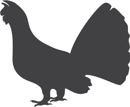 Capercaillie Png (772x526), Png Download