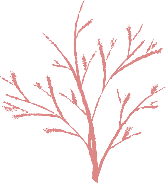Nature, Winter, Twig, Dead, Bush - Ranting Clipart (580x640), Png Download