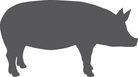 Радость, Гадость И Обед. Вся Правда О Наших Отношениях (473x263), Png Download