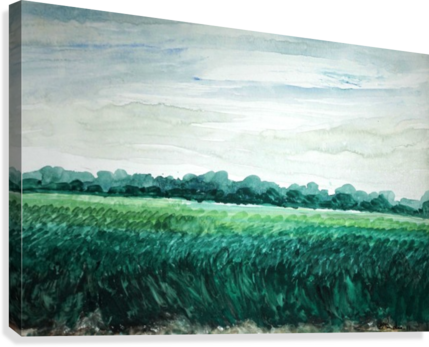 The Flieds 2 Canvas Print - Painting (429x347), Png Download