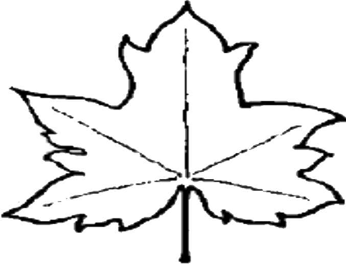 50, 22 May 2009 - Leaf Outline Png File (677x516), Png Download