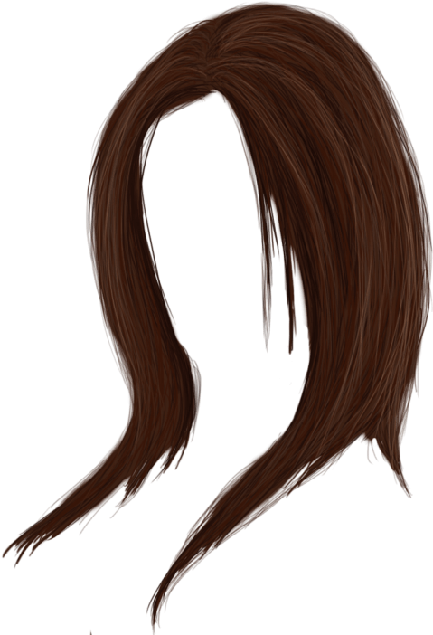 Free Png Women Hair Png Images Transparent - Girls Hair Png (480x708), Png Download