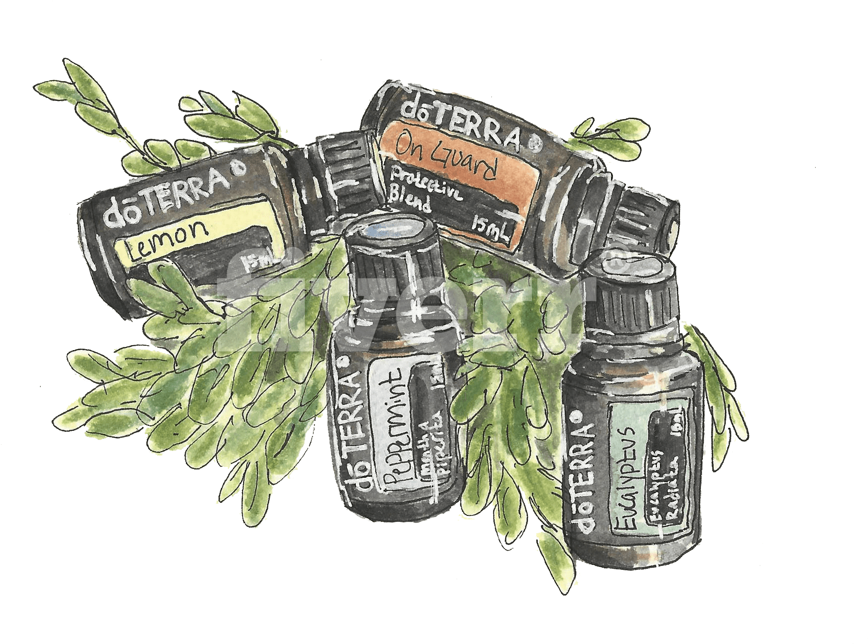 Do A Watercolor And Ink Illustration Of Whatever You - Glass Bottle (1827x1396), Png Download