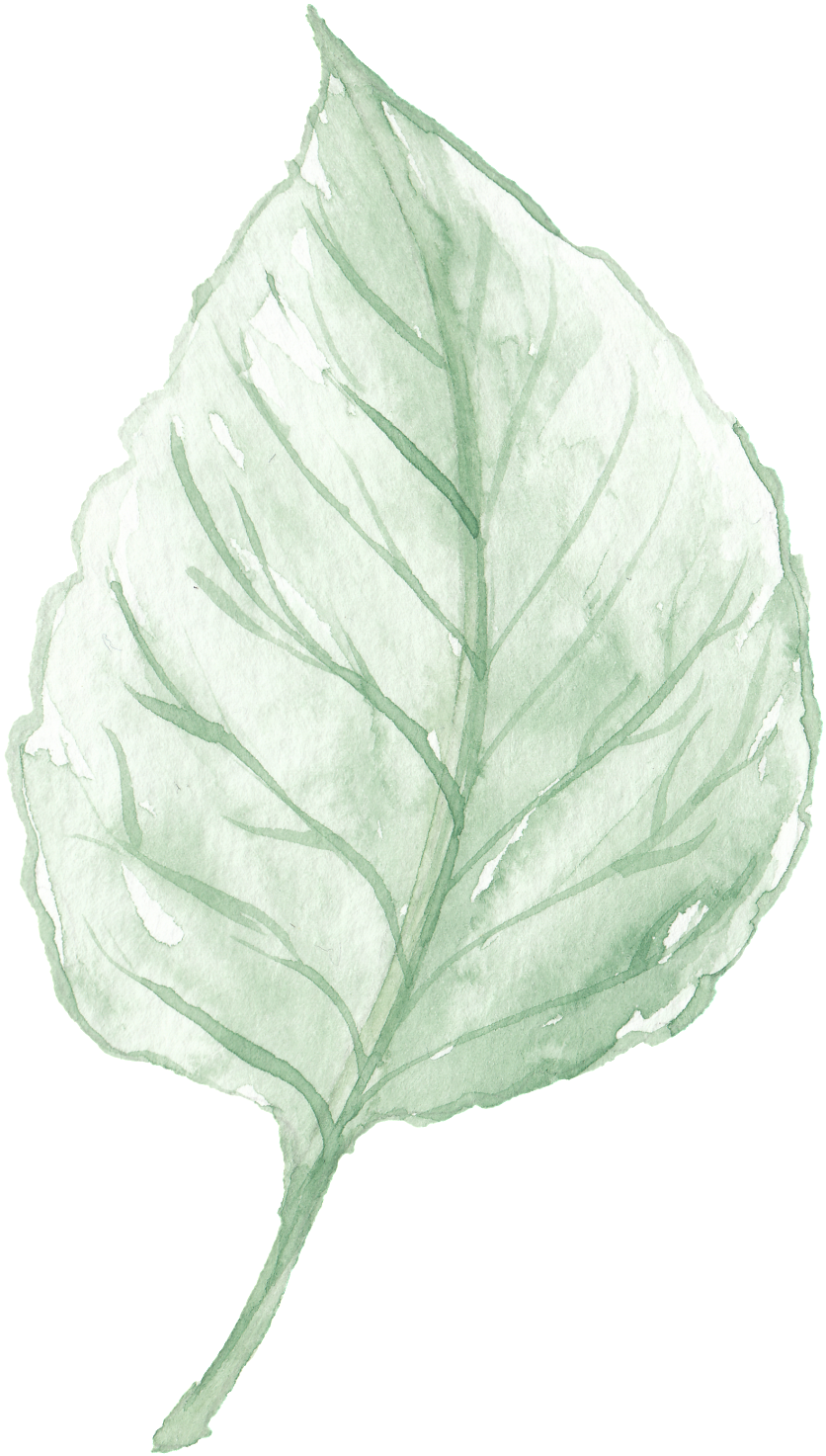 Watercolor Leaves Are Free From Material - Leaf (1024x1564), Png Download