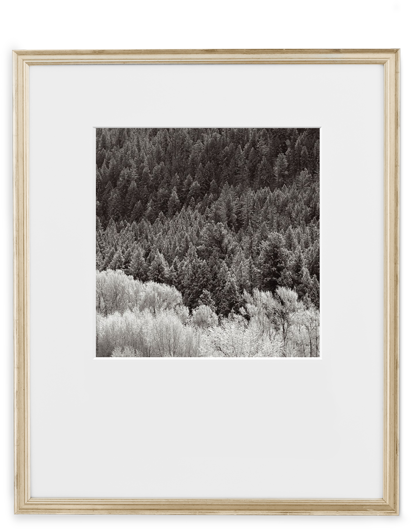 Certificate Antique Silver - Picture Frame (900x1125), Png Download