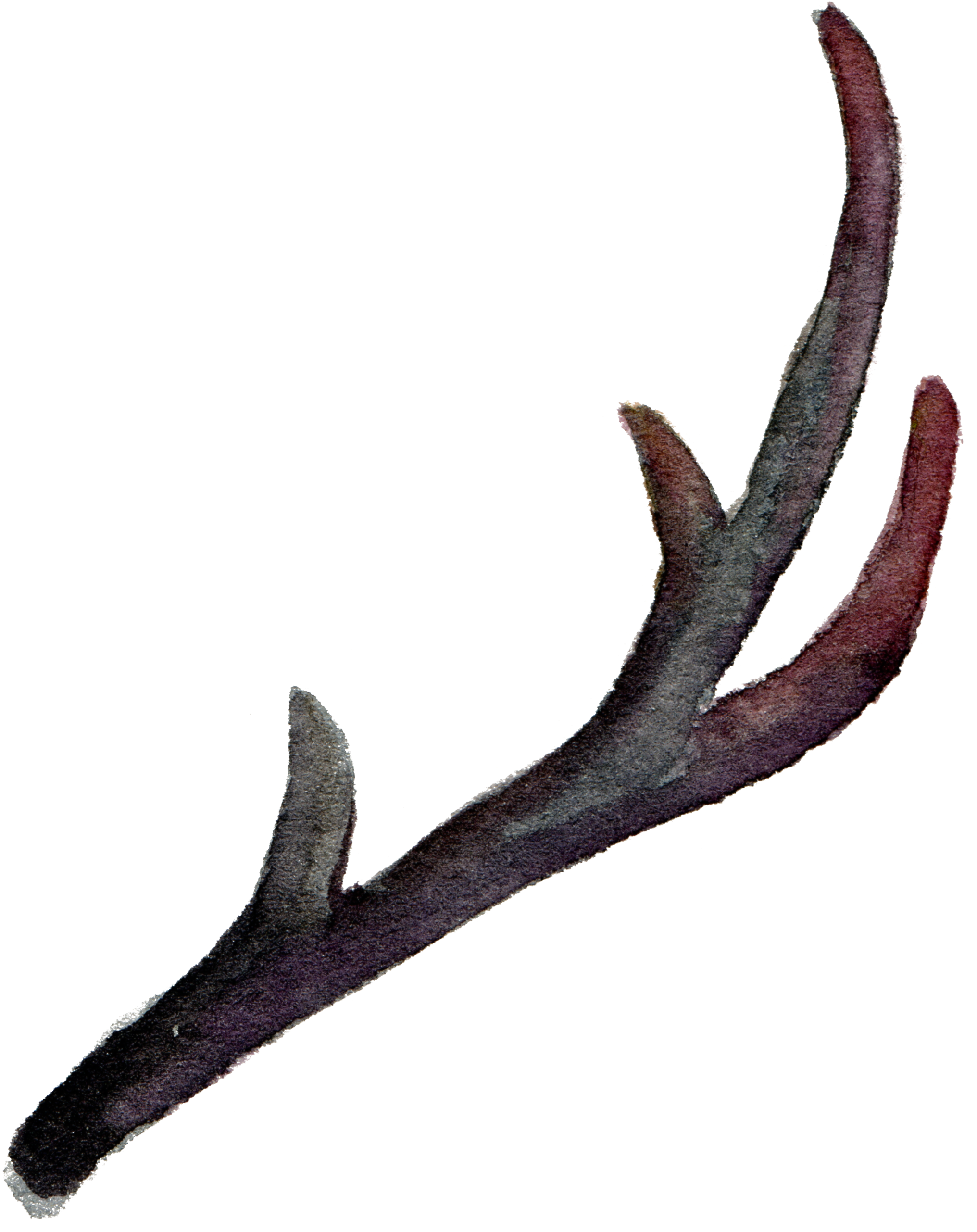 Clip Download Antler Horn Painting Leaves Falling Element - Reindeer Antlers Png (2095x2600), Png Download