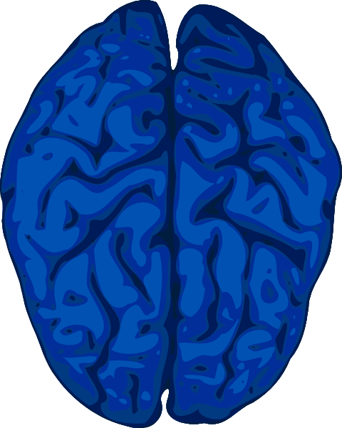 Blue Brain Svg Clip Arts 480 X 601 Px (480x601), Png Download