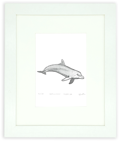 One Thing I Love About Living In New Smyrna Beach Is - Bottlenose Dolphin (498x664), Png Download