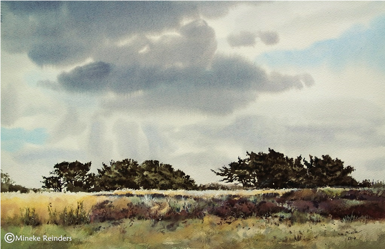 Field With Distant Junipers Watercolor, 36×54 Cm - Painting (800x800), Png Download