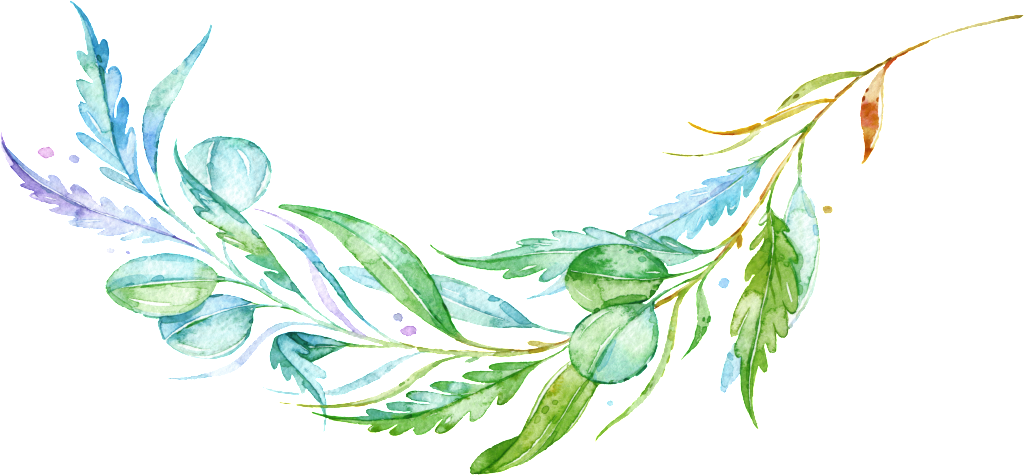 Transparents Of Fashionable And Elegant Watercolor - Clip Art (1024x475), Png Download