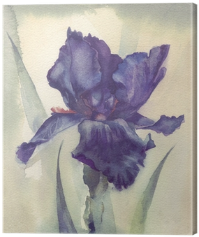 Watercolor Flower Collection - Iris (400x400), Png Download