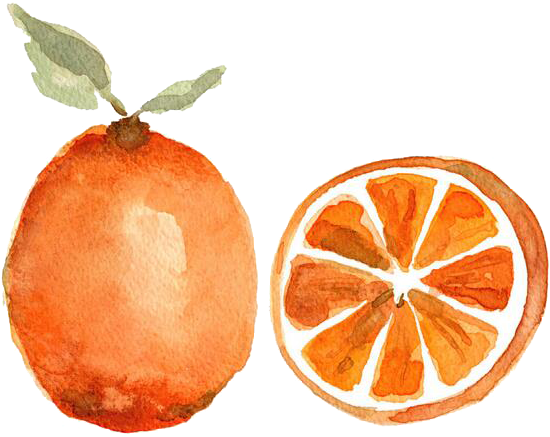 Watercolor Painting Orange Fruit Printmaking - Fruity Water Color Png (645x594), Png Download