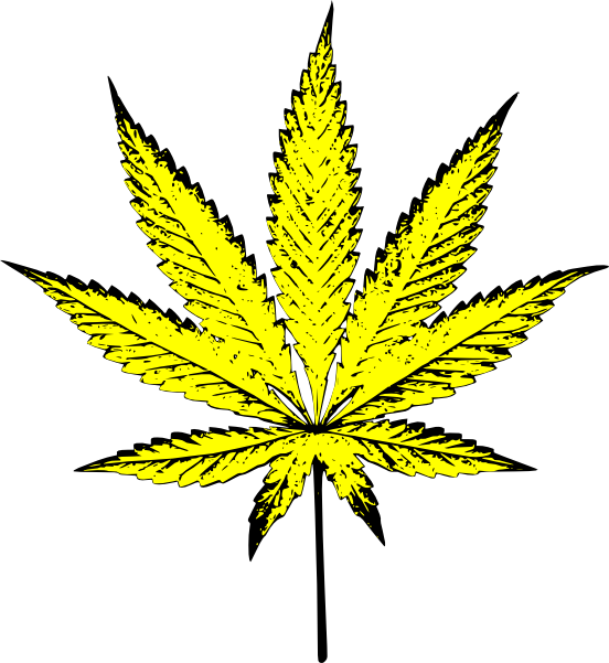 Weed - Yellow Pot Leaf (552x601), Png Download