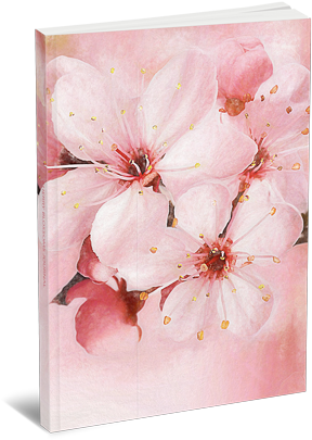 Floral Designs - Stendenbach Online 150x105 Cm Fototapete Spring Cherry (450x450), Png Download