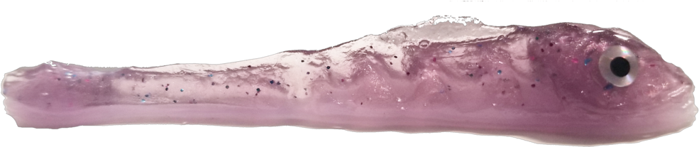 Cobra Judy - Taco - Wood (1024x275), Png Download