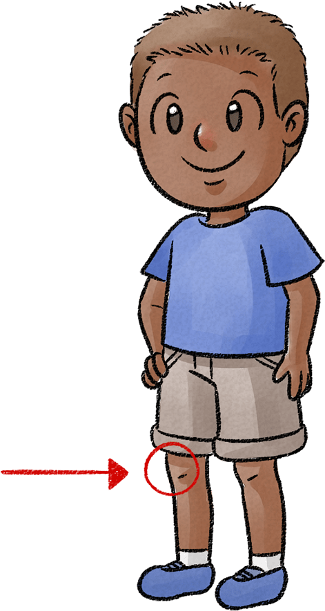 Cartoon (827x1004), Png Download