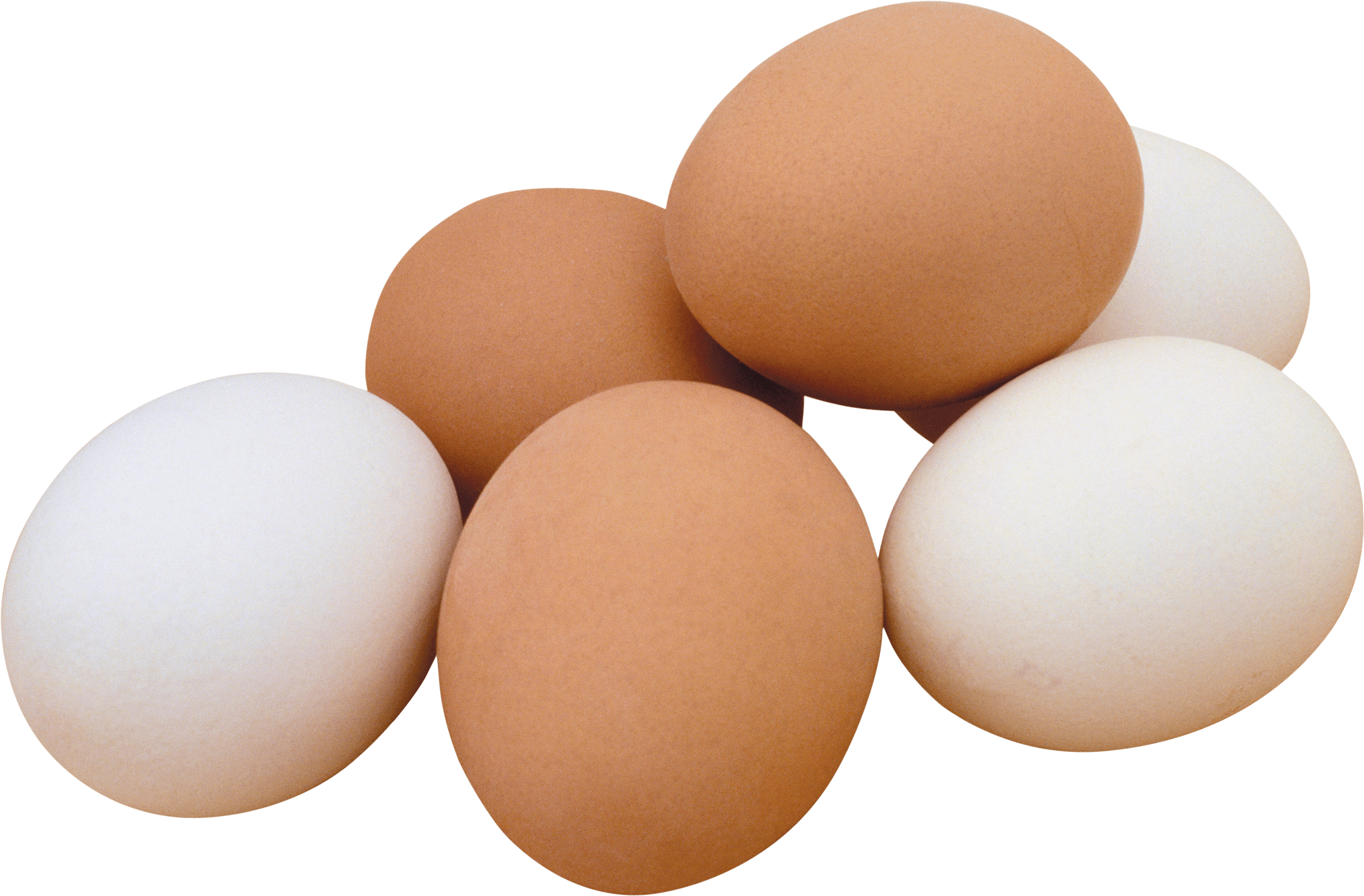 Download Hd Egg Eggs Clipart Transparent Png Image Nicepng Com