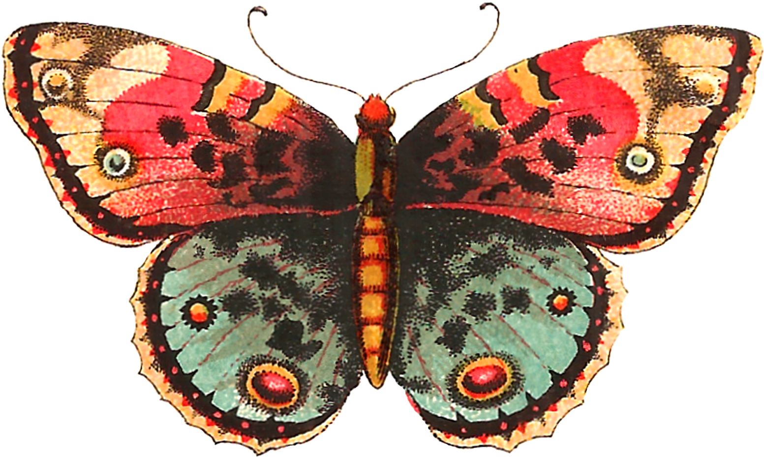 Vintage Butterfly Png - Vintage Butterfly (1600x957), Png Download