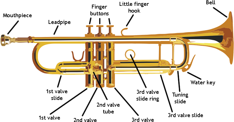 Visit - Mirage Tt103 B Flat Brass Trumpet With Case (778x421), Png Download