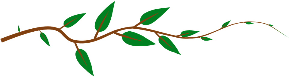 Vine Leaves Green Plant Vine Vine Vine Vin - Leaves On A Stick (680x340), Png Download