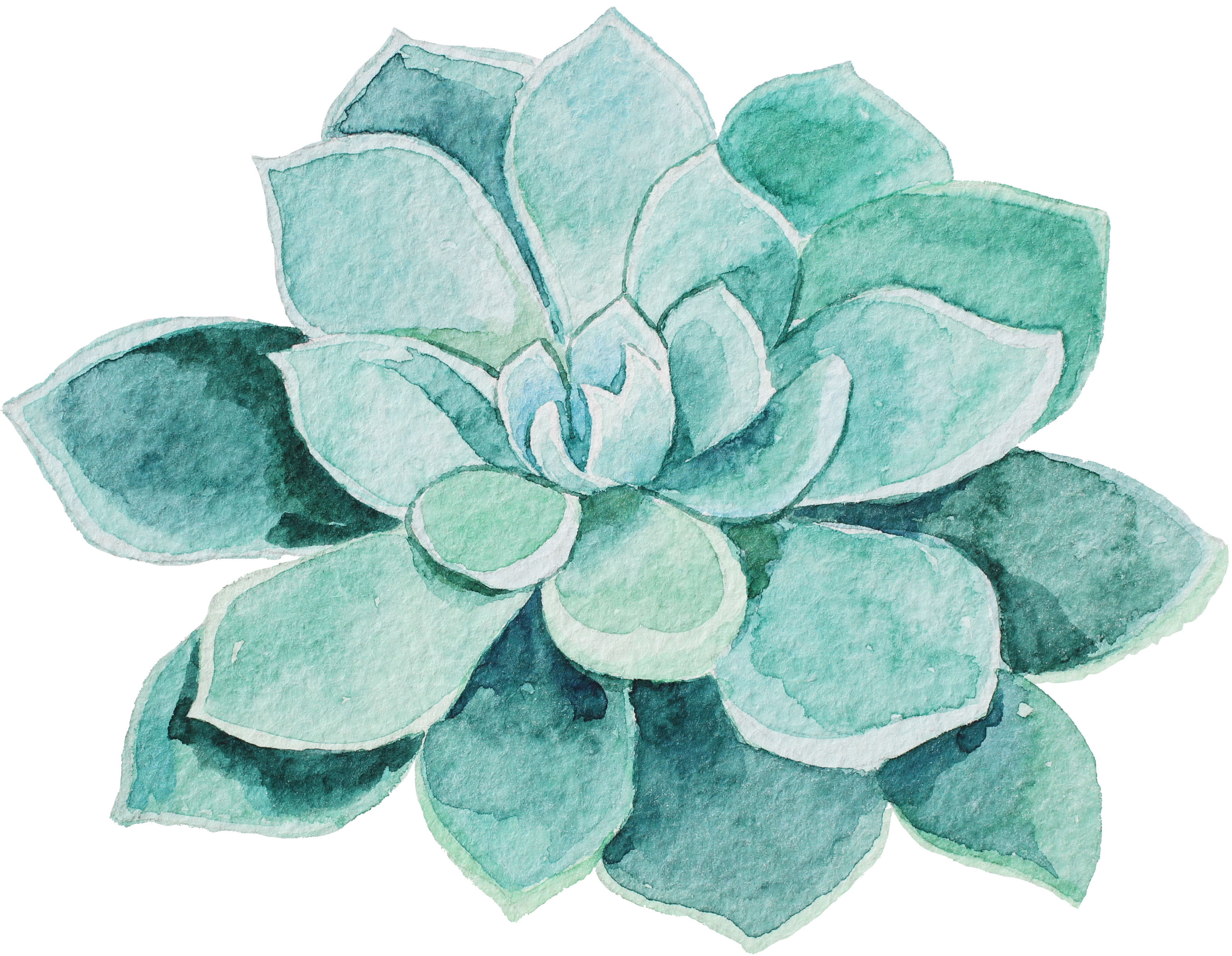 Watercolor Succulent Png - Water Color Succulent Png (3487x2706), Png Download