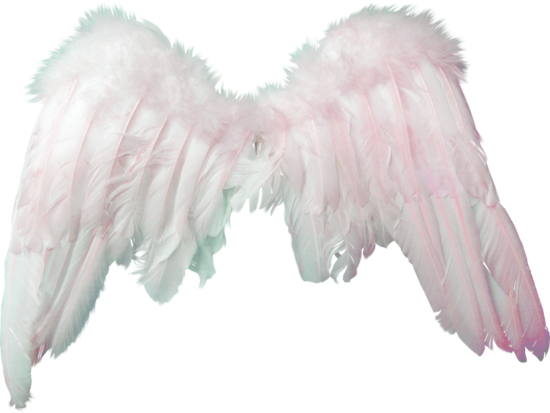 Clipart Angel Png - Alas De Angelitos Png (800x600), Png Download