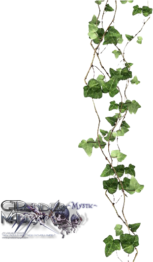 Uo5z2 - Vines With Transparent Background (400x529), Png Download