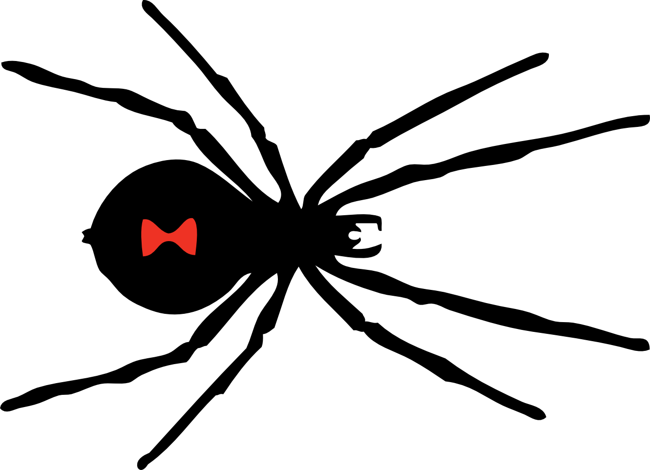 Black Widow Spider Svg Clip Arts 600 X 434 Px (600x434), Png Download