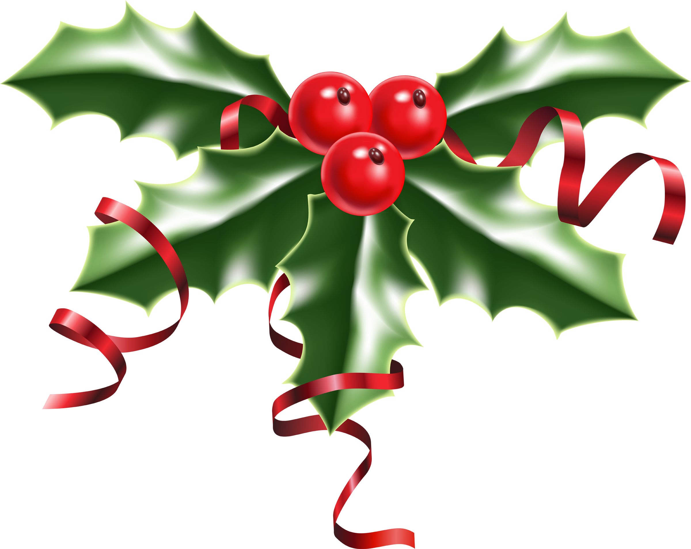 Christmas Holly Pictures 1 2 - Holly With Berries (2400x1907), Png Download