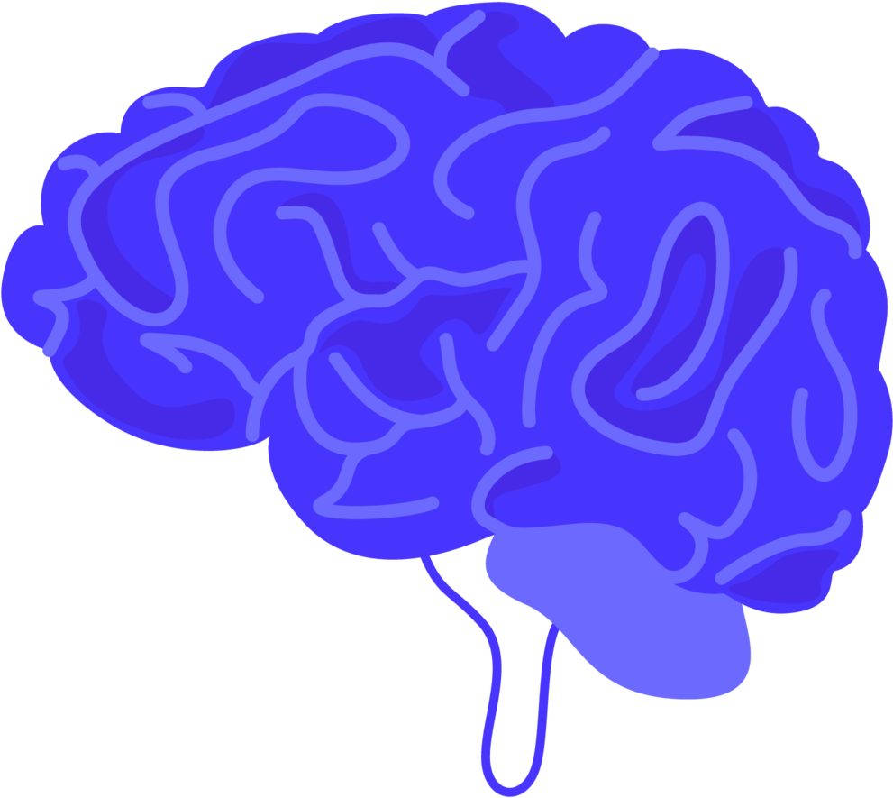 Brain (1000x1016), Png Download