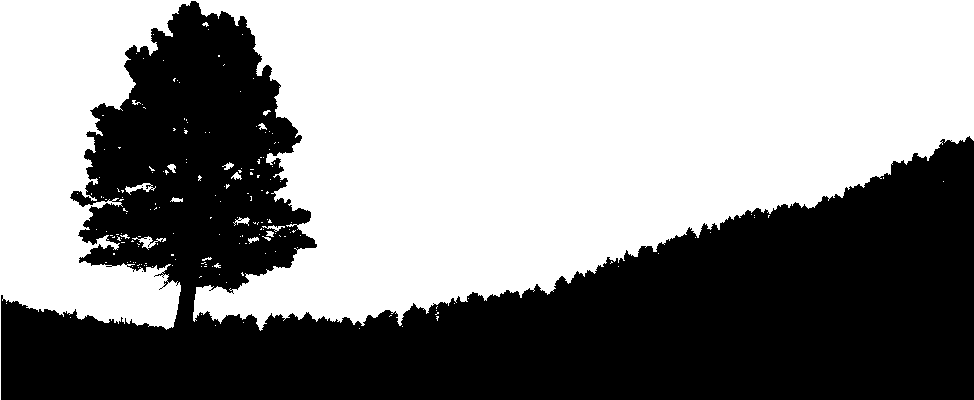 Image Freeuse Library Hill Silhouette At Getdrawings - Night Sky Desktop Background (1920x1080), Png Download