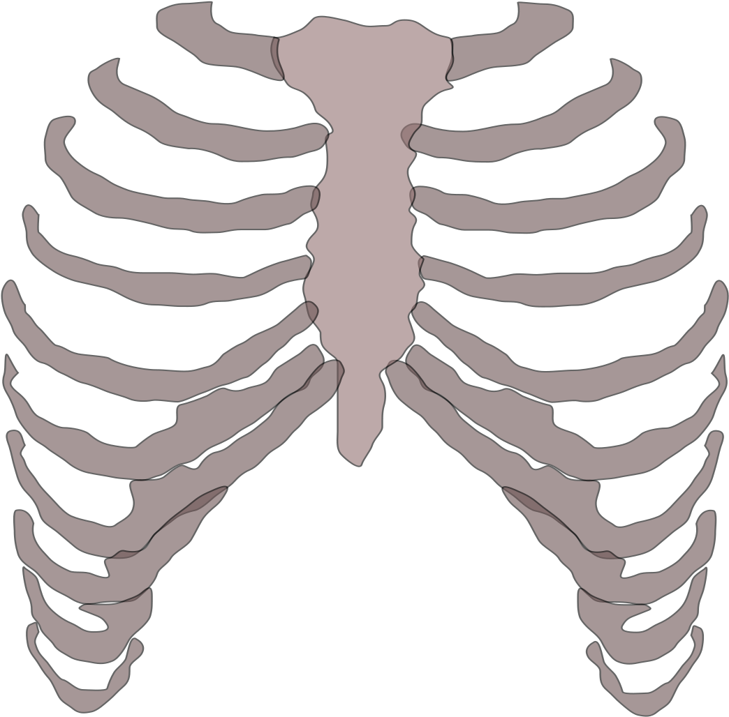 Rib Cage Png Png Free Download - Golf Ball With Skull Cage Tshirt (2000x2830), Png Download