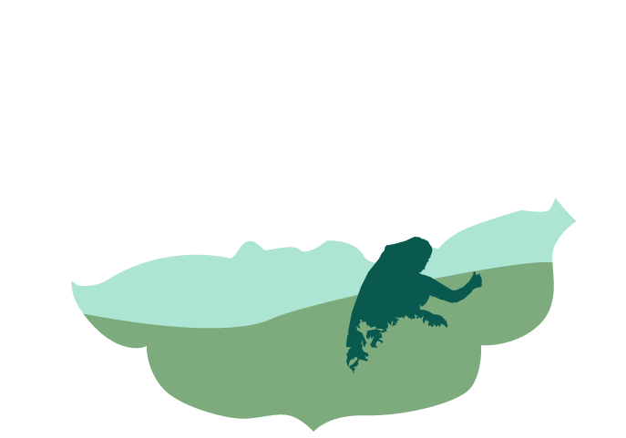 Tea Leaf Travels - Illustration (1273x484), Png Download