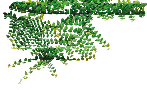 Tree (571x432), Png Download