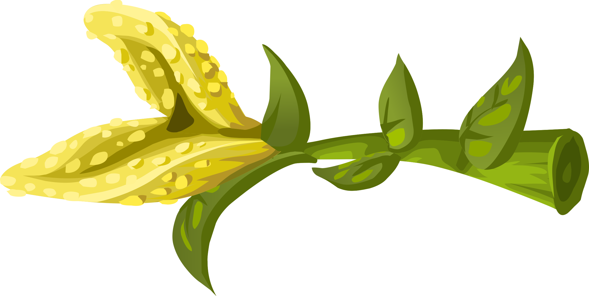 This Free Icons Png Design Of Herbs Yellow Crumb Flower (2400x1206), Png Download
