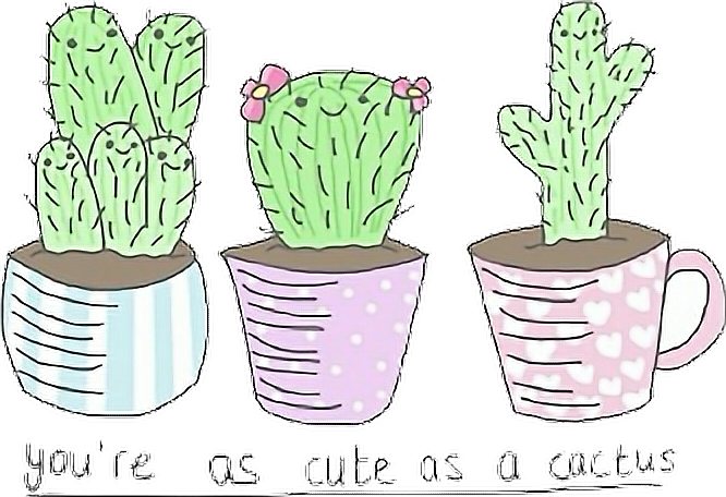 Report Abuse - Cactus Drawing (666x456), Png Download