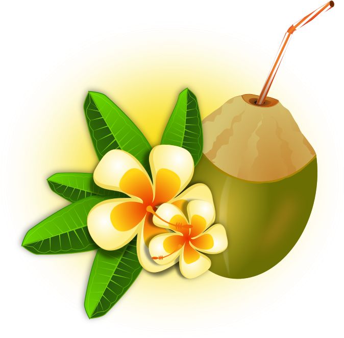 Coconut Cocktail - Hawaii Png (800x750), Png Download