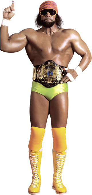 Randy Savage - Macho Man Randy Savage Png (320x728), Png Download