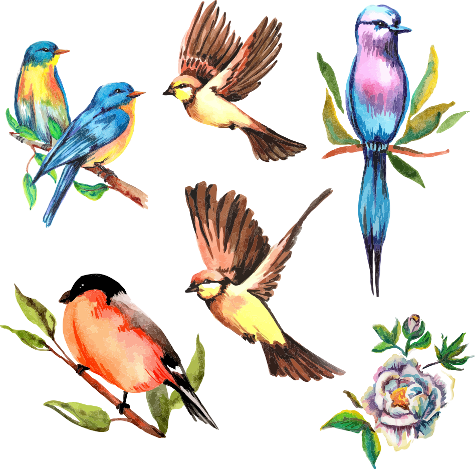 Vector Watercolor Flower Bird - Watercolor Bird Vector (948x936), Png Download