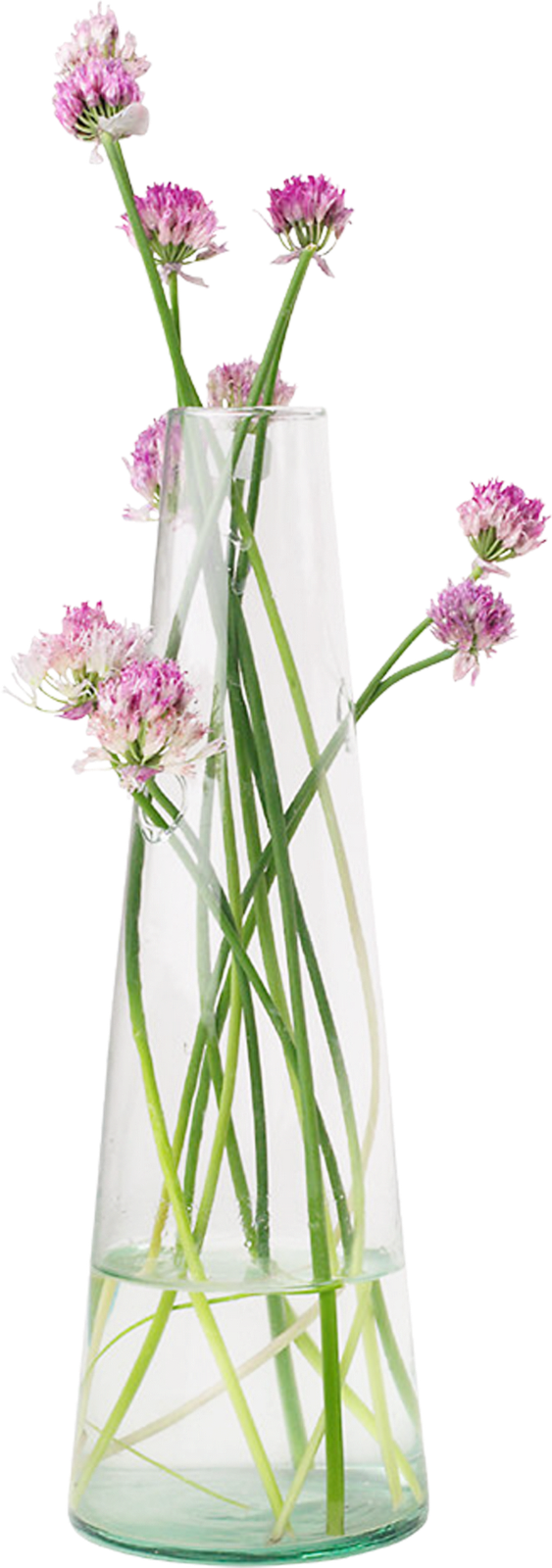 Jackie Chan Meme Png - Jarrón De Flores Png (563x1600), Png Download