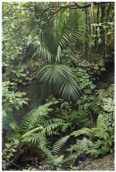 Komar Wall Mural Xxl (400x400), Png Download