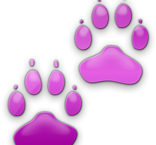 Neon Clipart Dog Paw - Dog Paw (640x480), Png Download