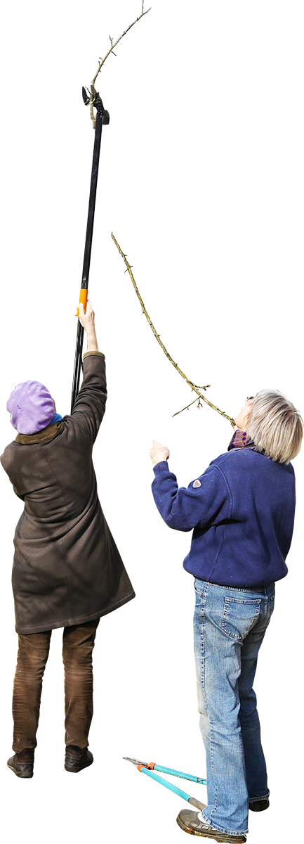 People Wall Climbing Png (433x1200), Png Download