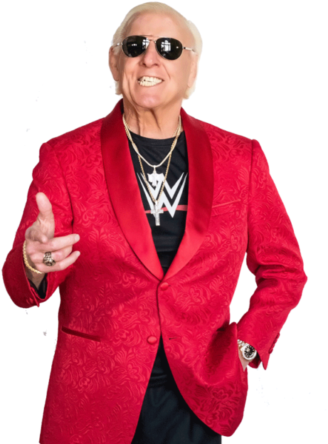 The Ric Flair Collection - Suit (480x635), Png Download